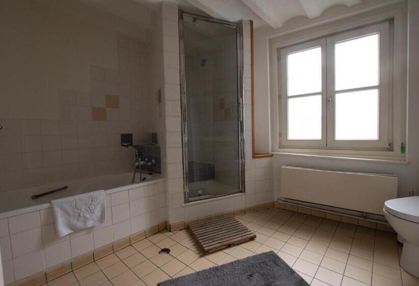 Номер Стандарт Совместная Ванная, B&b De Hofnar Maastricht