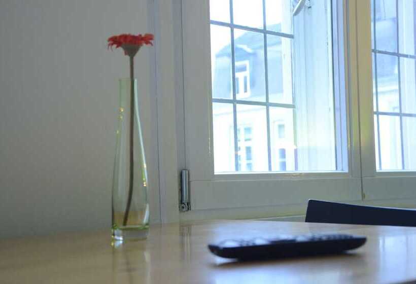 Номер Стандарт, B&b De Hofnar Maastricht