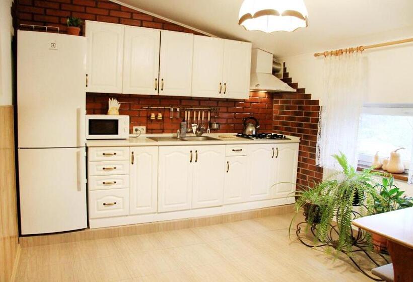 اتاق لوکس, Gusarskiy Hotel And Apartment