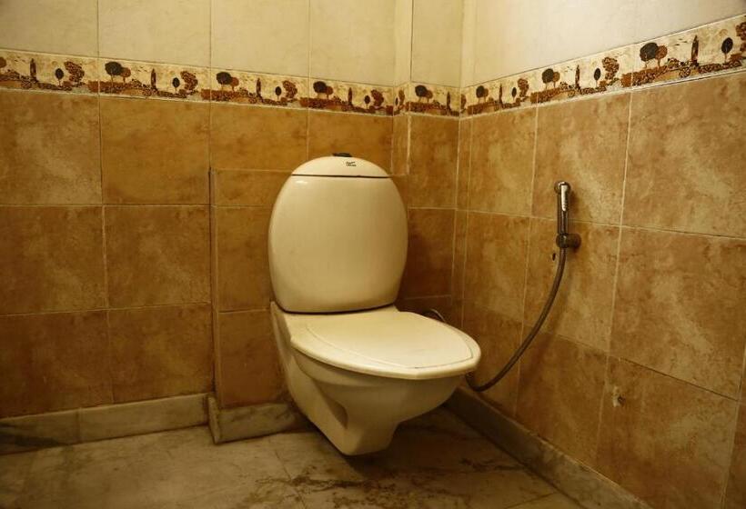 اتاق لوکس, City Centre Inn New Delhi