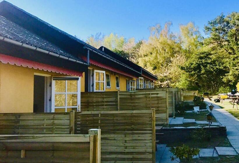 اتاق استاندارد, Skovly