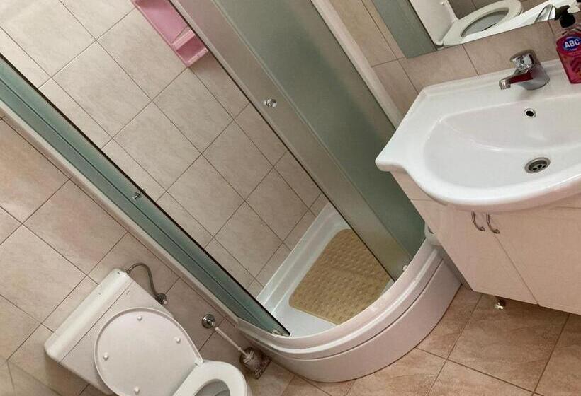 اتاق استاندارد, Mir