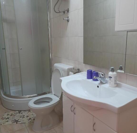 اتاق استاندارد, Mir