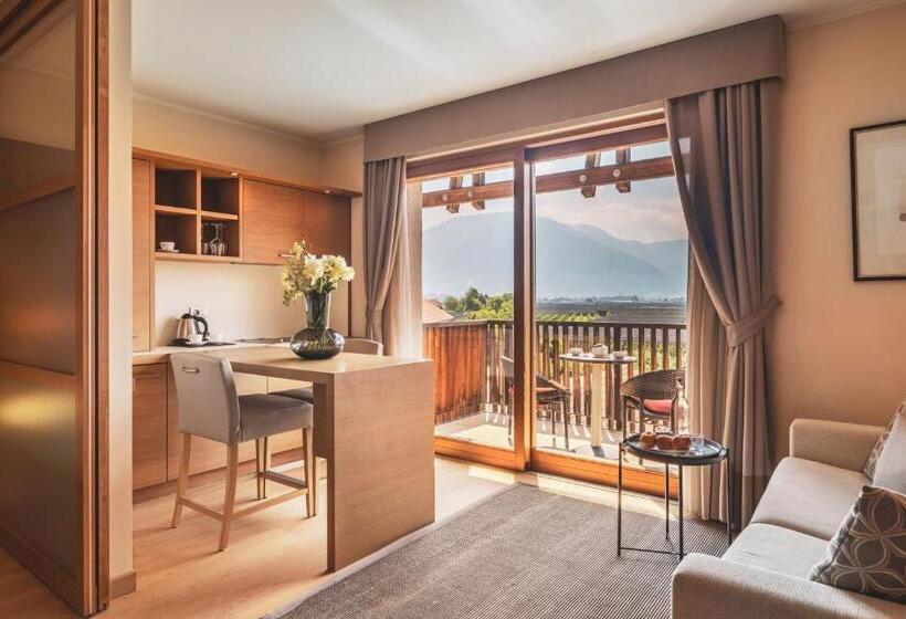 سوئیت جونیور با چشم‌انداز کوهستان, Art & Design Hotel Napura