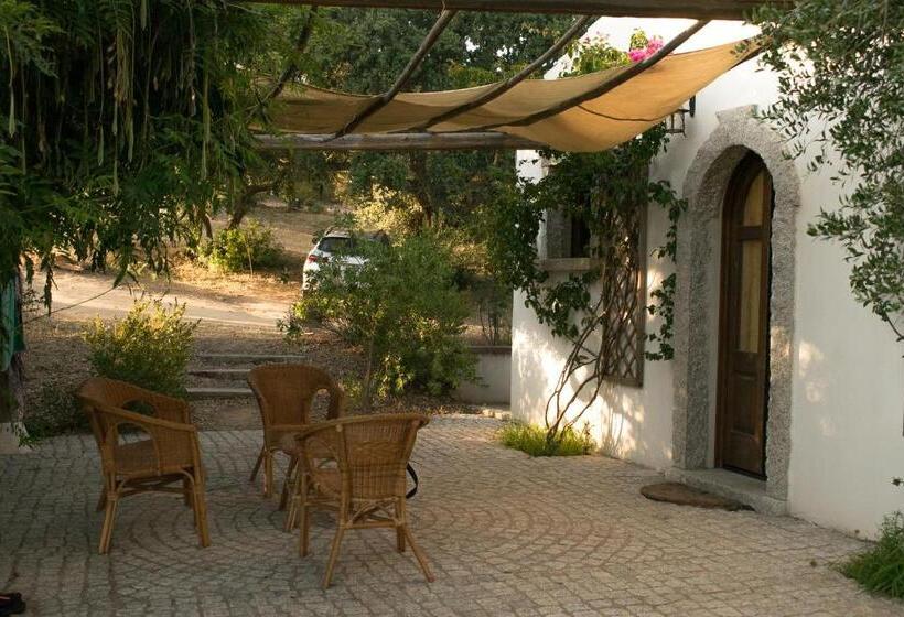 اتاق استاندارد, B&b Isole Di Pietra