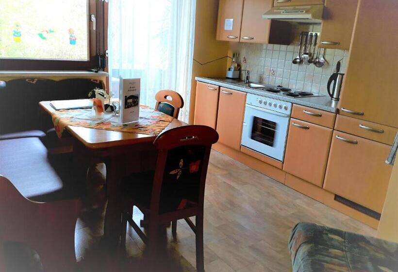Апартаменты 1 Спальня с Террасой, Pension Mühlenheim