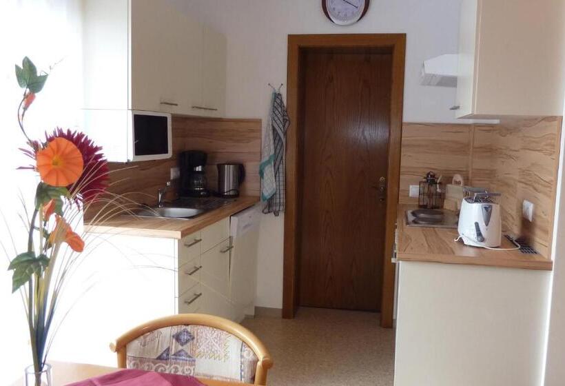 Студия Стандарт, Pension Mühlenheim