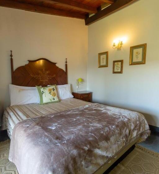 اتاق کلاسیک یک تخته, Quintal De Alem Do Ribeiro Turismo Rural