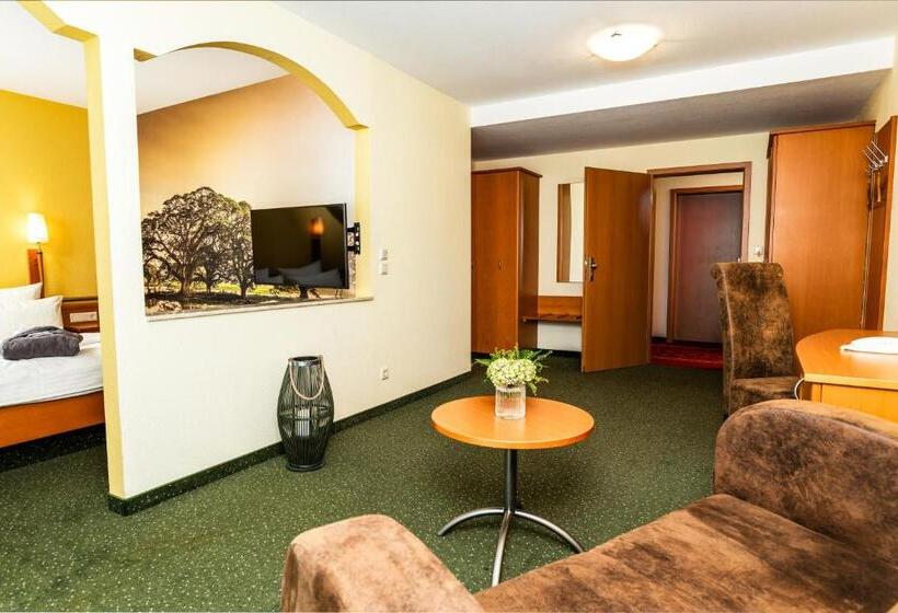 Номер Стандартный с Видом, Am Kurhaus Mit Erstem Ayurveda Center Sachsens   Direkt Am Gesundheitsbad Actinon & Kurpark