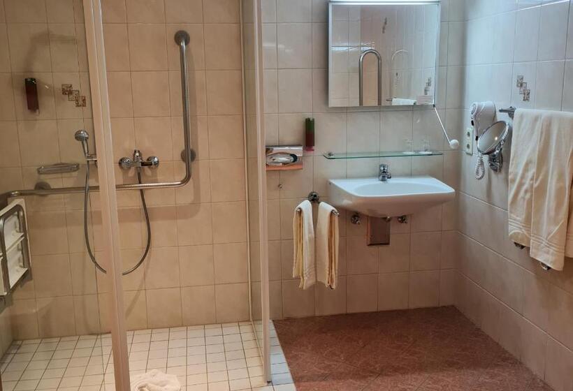 Номер Стандарт, Am Kurhaus Mit Erstem Ayurveda Center Sachsens   Direkt Am Gesundheitsbad Actinon & Kurpark