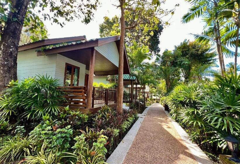 Бунгало Superior, Dream Valley Resort, Tonsai Beach