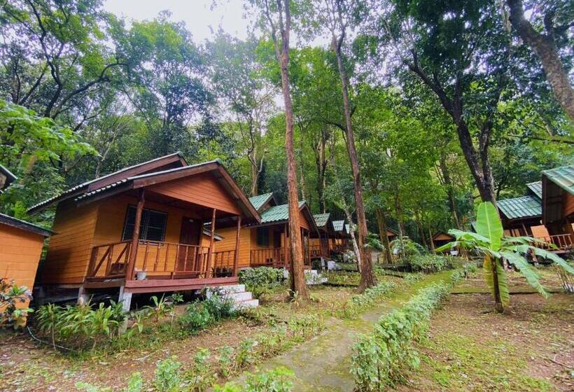 Бунгало Стандарт, Dream Valley Resort, Tonsai Beach
