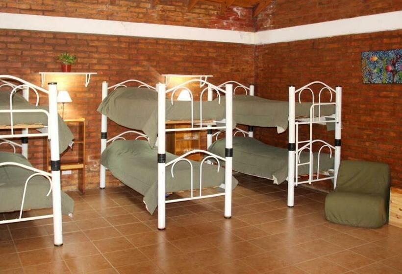 공동 객실, Hostel Bahía Ballenas