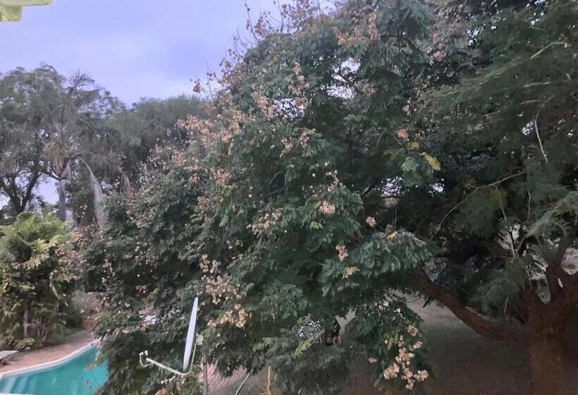 اتاق لوکس با بالکن, Su Casa Scottsville