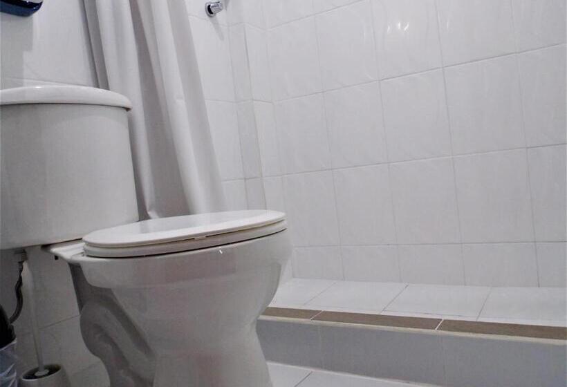Полулюкс, Green House Araque Inn