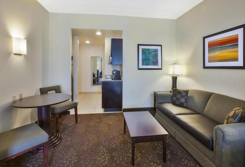 适用于残疾人士的豪华房间, Holiday Inn Express & Suites Geneva Finger Lakes, An Ihg