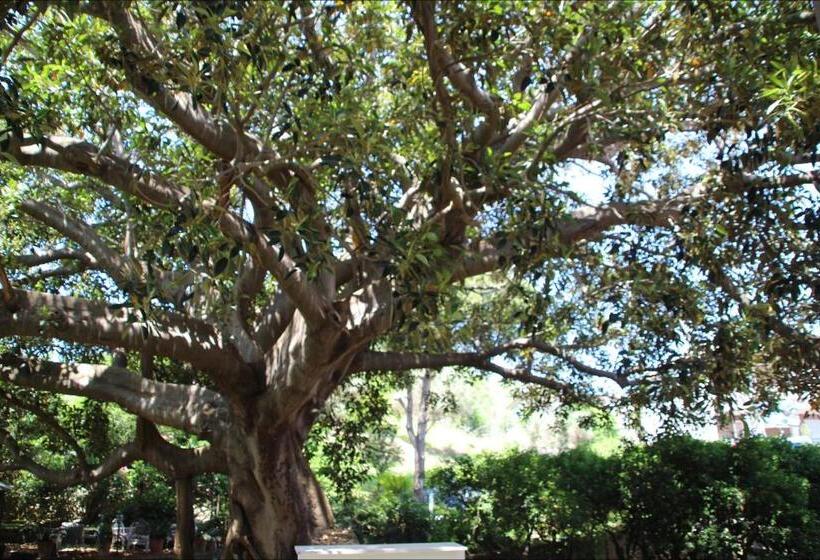 استودیوی استاندارد, Affittacamere La Magnolia