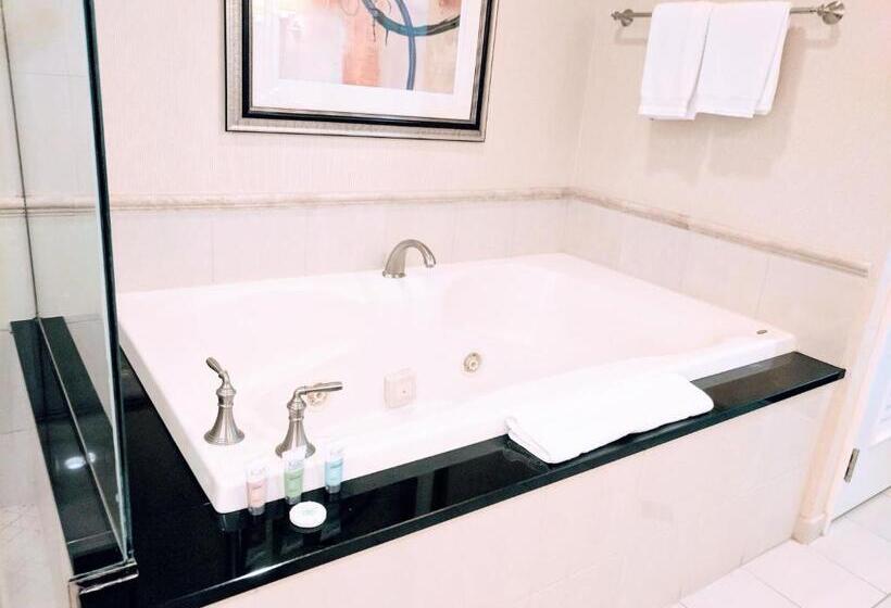 سوییت, Strip & Sphere View   Separate Living Room   2 Full Bath   Full Kitchen   Balcony   900 Sqft   Mgm S