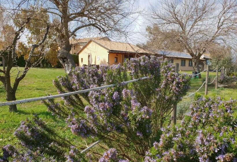 اتاق سوپریور, Agriturismo Le Grange