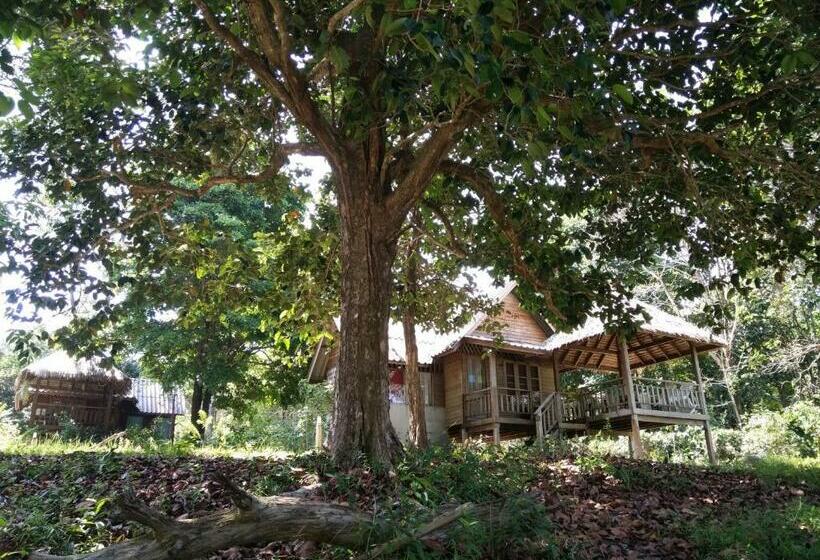 بانگلوی لوکس, Jansom Bungalow 2