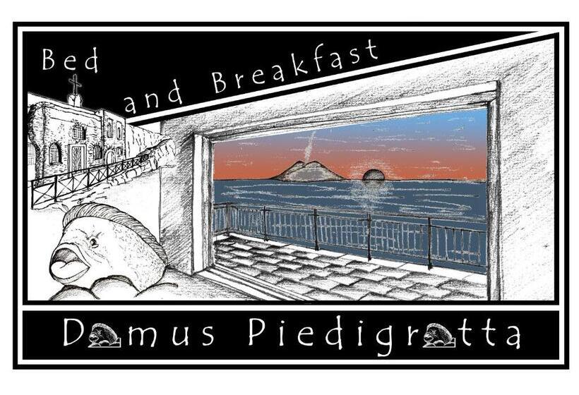 スタンダードスタジオ, B&b Domus Piedigrotta
