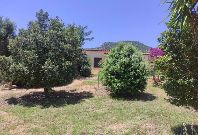 Номер Стандарт, Sa Teria Village   Camere Deluxe