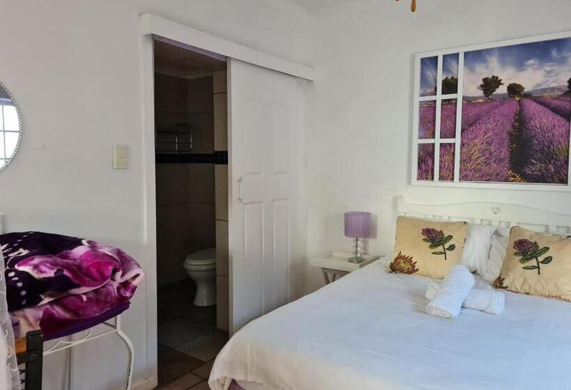 Quarto Estandar, Melville House