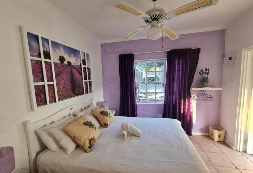 Quarto Estandar, Melville House