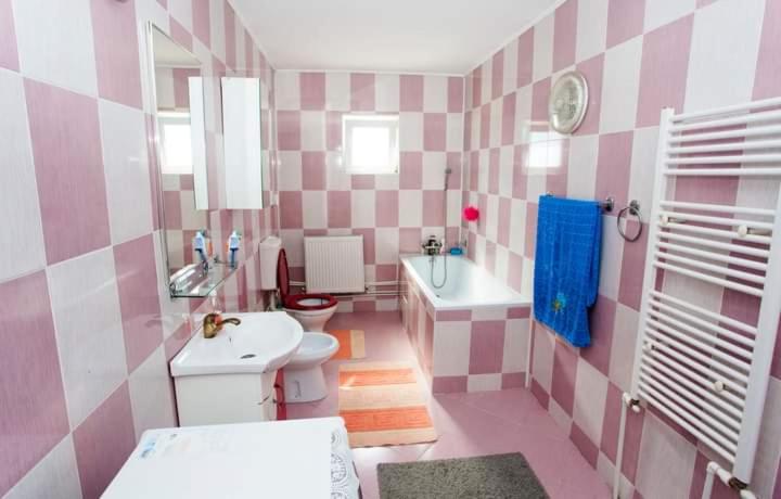 Номер Стандарт Совместная Ванная, Casa Prundari Nicu și Mirela
