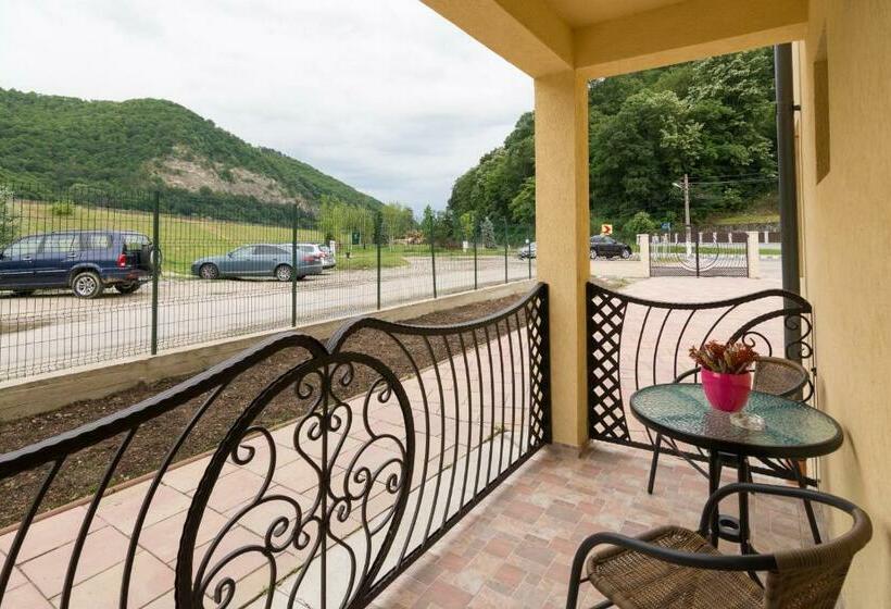 اتاق استاندارد با تراس, Vila Poienița Căciulata
