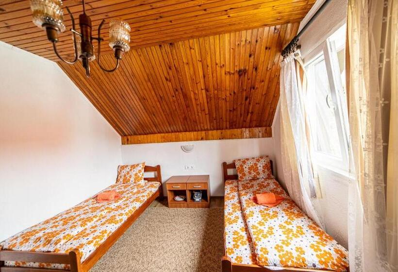 اتاق استاندارد با سرویس بهداشتی مشترک, Snam Rooms&apartment