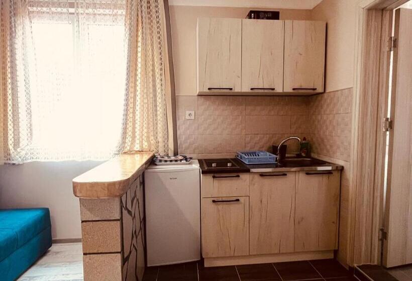 آپارتمان 1 خوابه, Snam Rooms&apartment