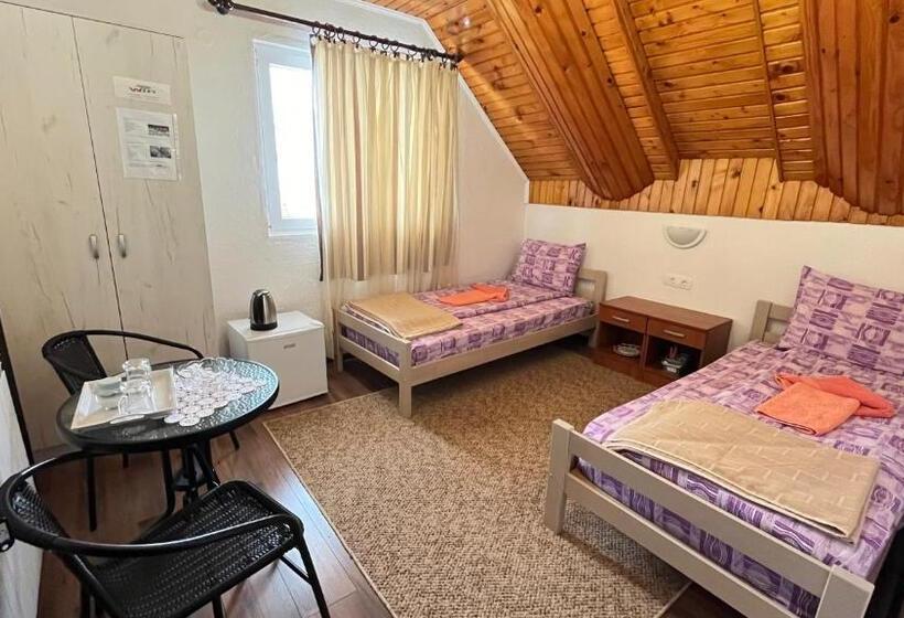 اتاق استاندارد با سرویس بهداشتی مشترک, Snam Rooms&apartment