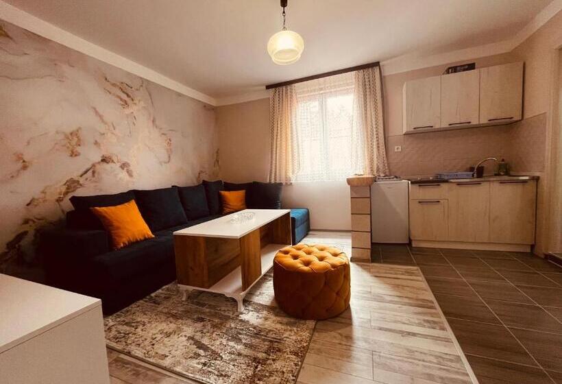 آپارتمان 1 خوابه, Snam Rooms&apartment