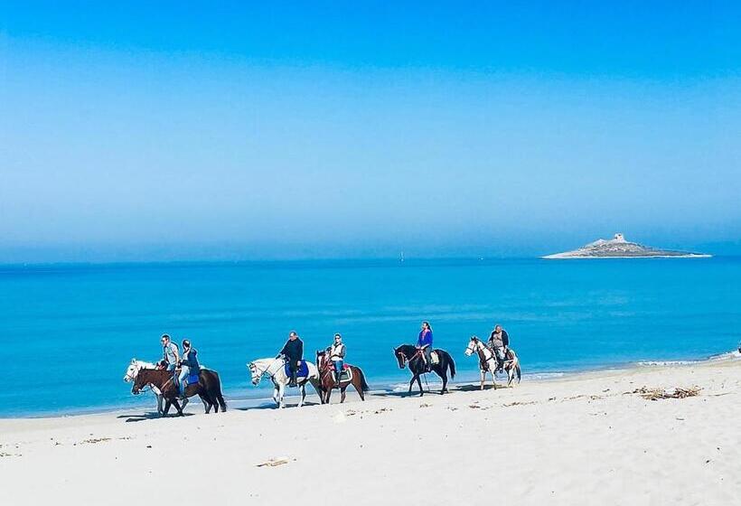اتاق استاندارد با تخت بزرگ, Casa Vacanze Isolotto