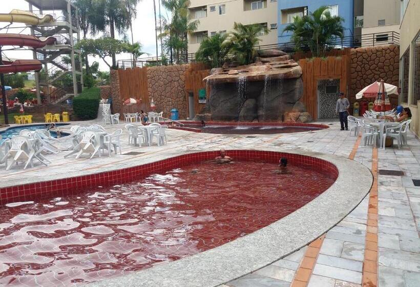 סוויטה, Golden Dolphin Grand