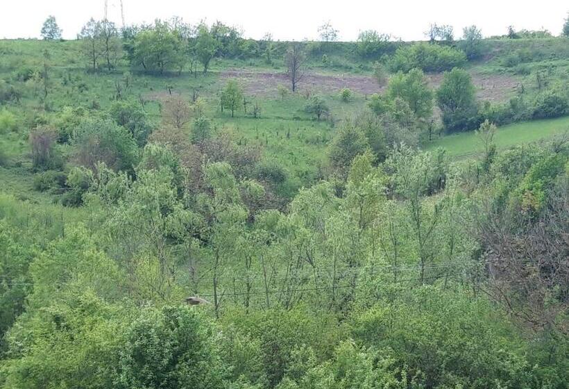 Семейный Номер, Colț De Rai   Camera De Inchiriat