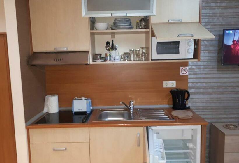 استودیو استاندارد با بالکن, Enjoy Studios And Lovely Apartment Villa Park