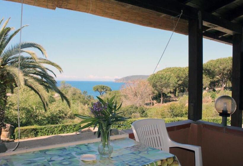 آپارتمان 1 خوابه با تراس, Casa Roberta