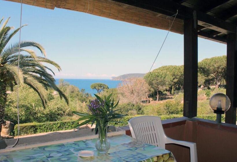 آپارتمان 1 خوابه با تراس, Casa Roberta