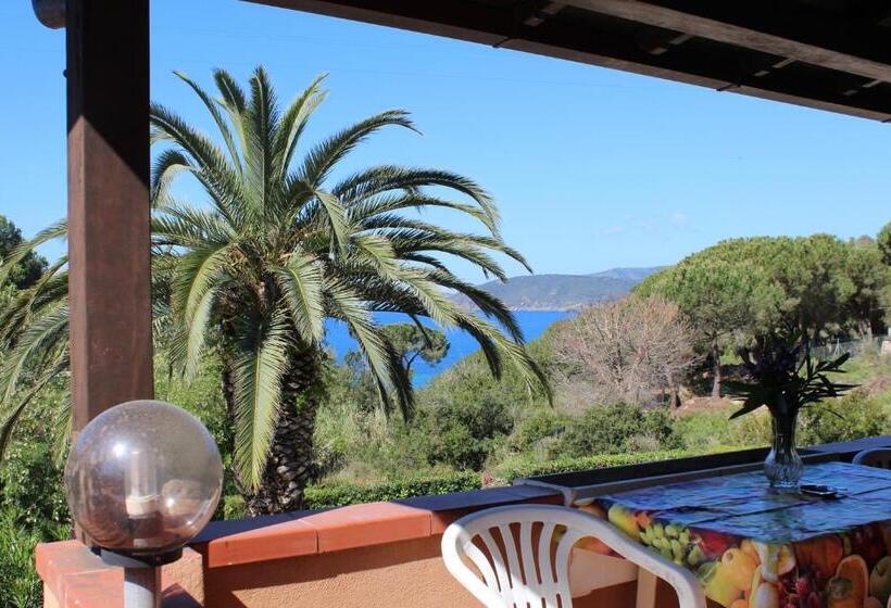 آپارتمان 1 خوابه با تراس, Casa Roberta