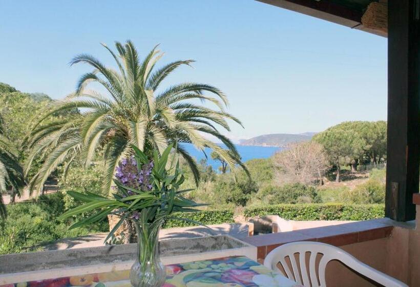 آپارتمان 1 خوابه با تراس, Casa Roberta
