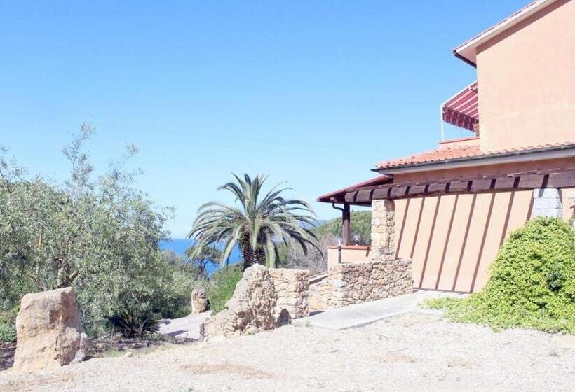 آپارتمان 1 خوابه با تراس, Casa Roberta