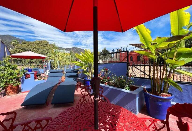 Superior Szoba King Size Bed, Estrellita S Bed & Breakfast