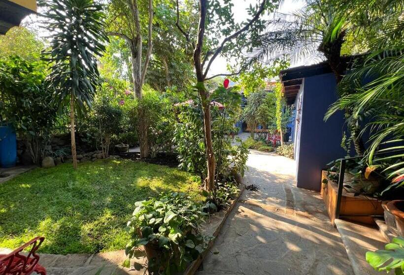 Deluxe Bungalow, Estrellita S Bed & Breakfast