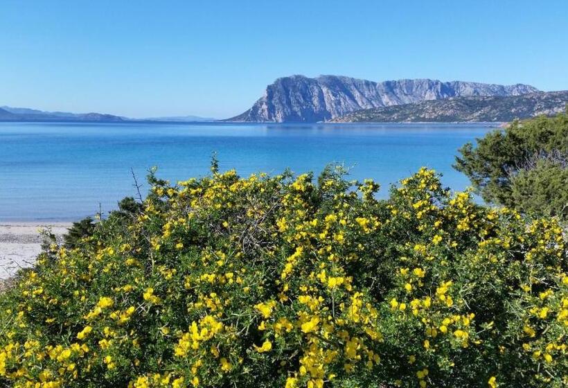 اتاق استاندارد با بالکن, Agriturismo La Casa Delle Fate