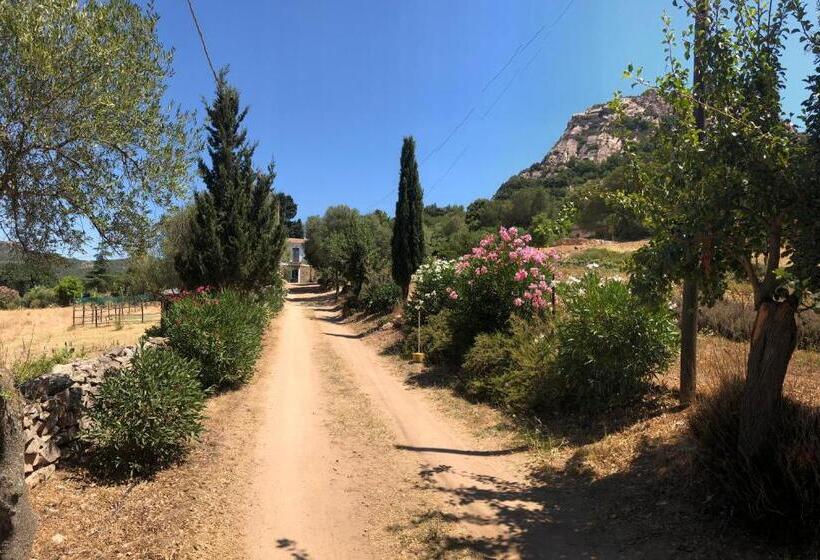 اتاق استاندارد با چشم‌انداز, Agriturismo La Casa Delle Fate