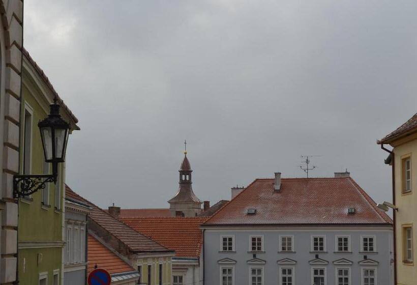 Стандартный Номер Кровать Кинг, Penzion U žabáka