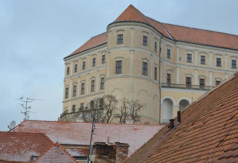 Standard Szoba King Size Bed, Penzion U žabáka