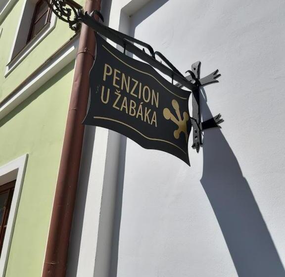 Апартаменты 1 Спальня, Penzion U žabáka